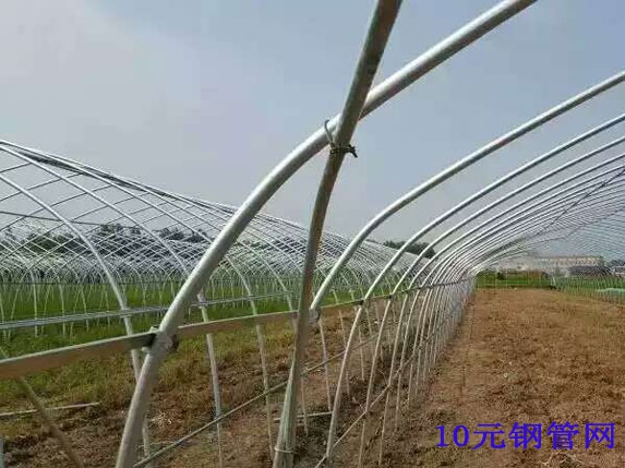 大棚斜撐、卡槽連接圖片